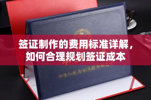冷水江签证制作的费用标准详解，如何合理规划签证成本